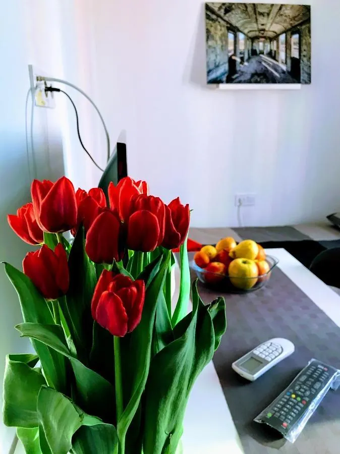 Pula Center Green Park Apartments And Rooms Croatia